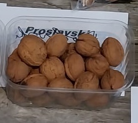 OKKERNOOT 'PROSLAVSKI' HOOGSTAM